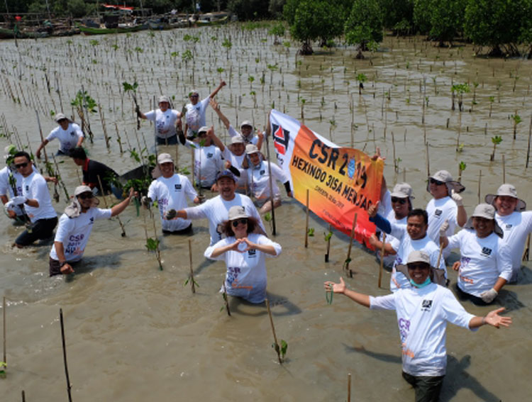 Participants of Hexindo's mangrove planting.