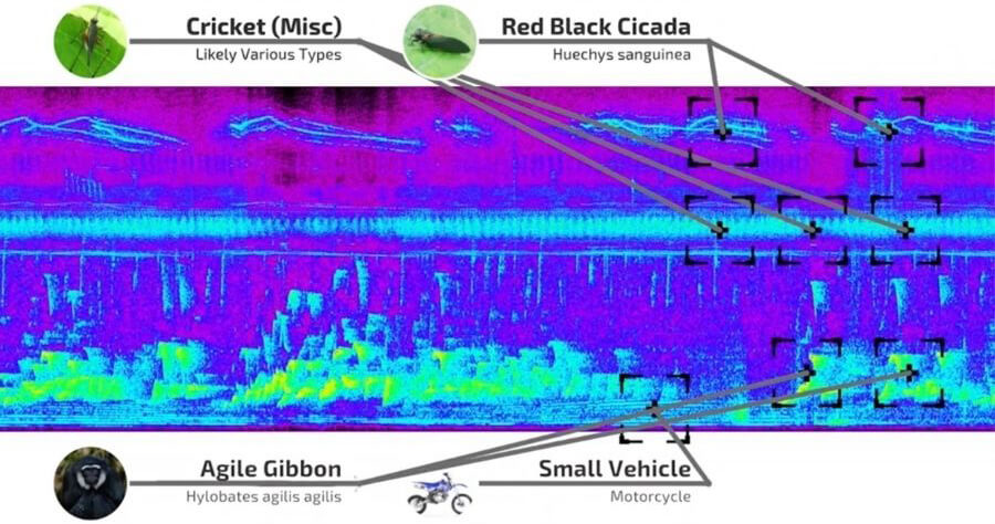 Sound Monitoring System using AI Technology