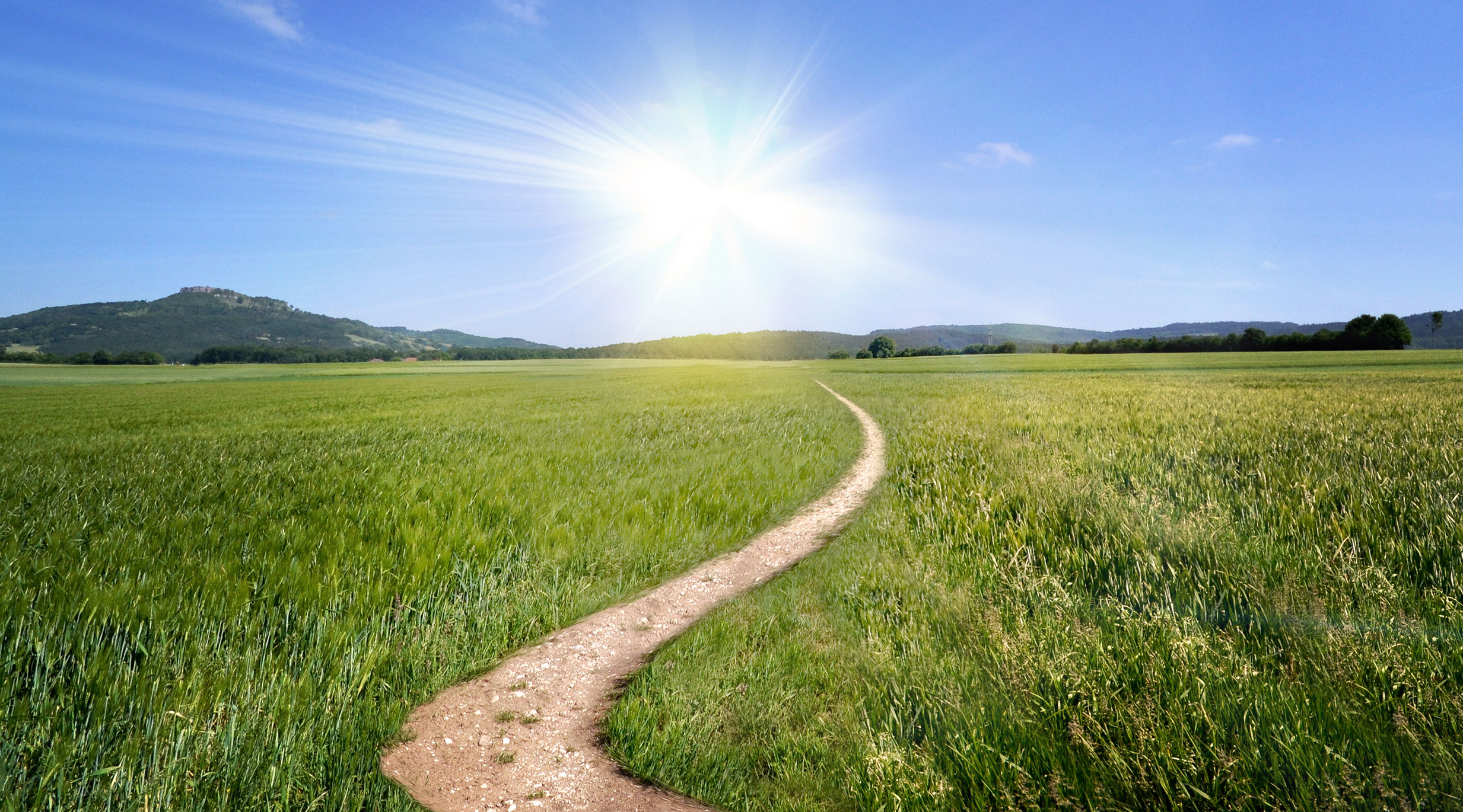 Sustainability Management