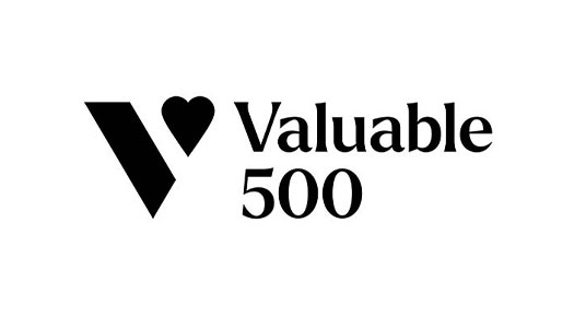 The Valuable 500